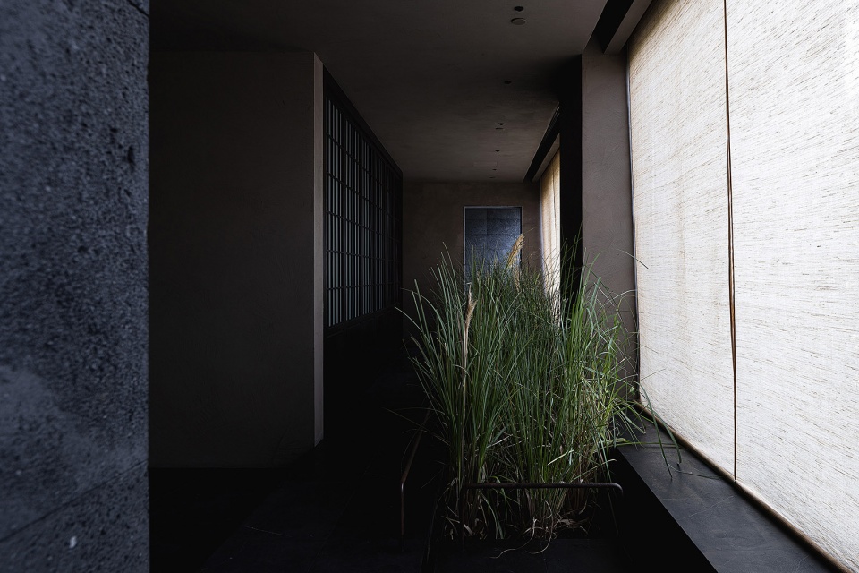 teahouse in chengdu by scene architect