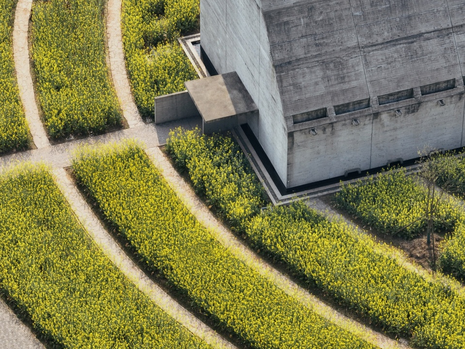 joybo farm by wt architects