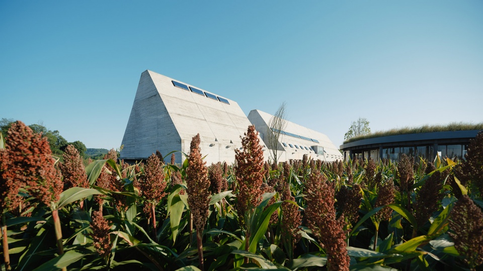 joybo farm by wt architects