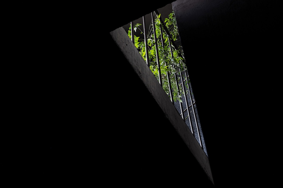 teahouse in chengdu by scene architect