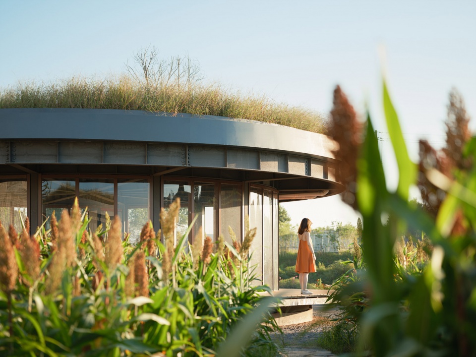 joybo farm by wt architects