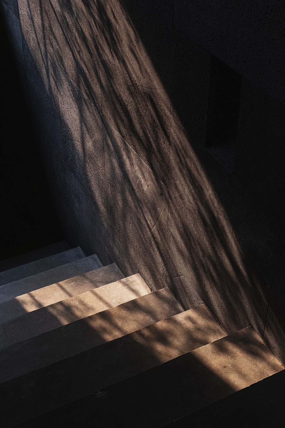 teahouse in chengdu by scene architect