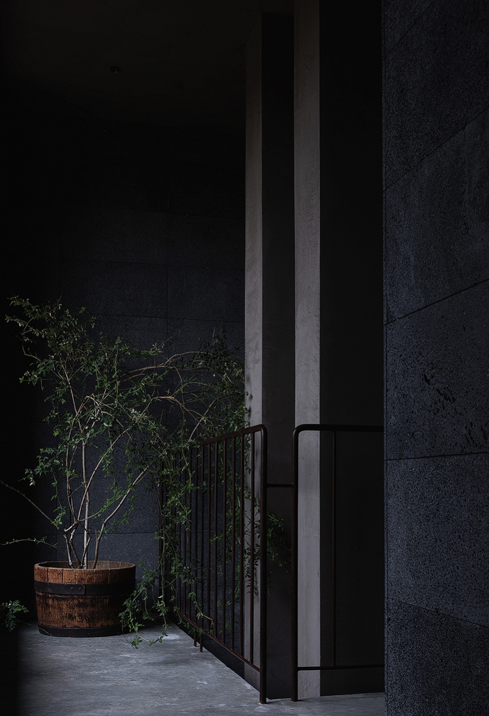 teahouse in chengdu by scene architect