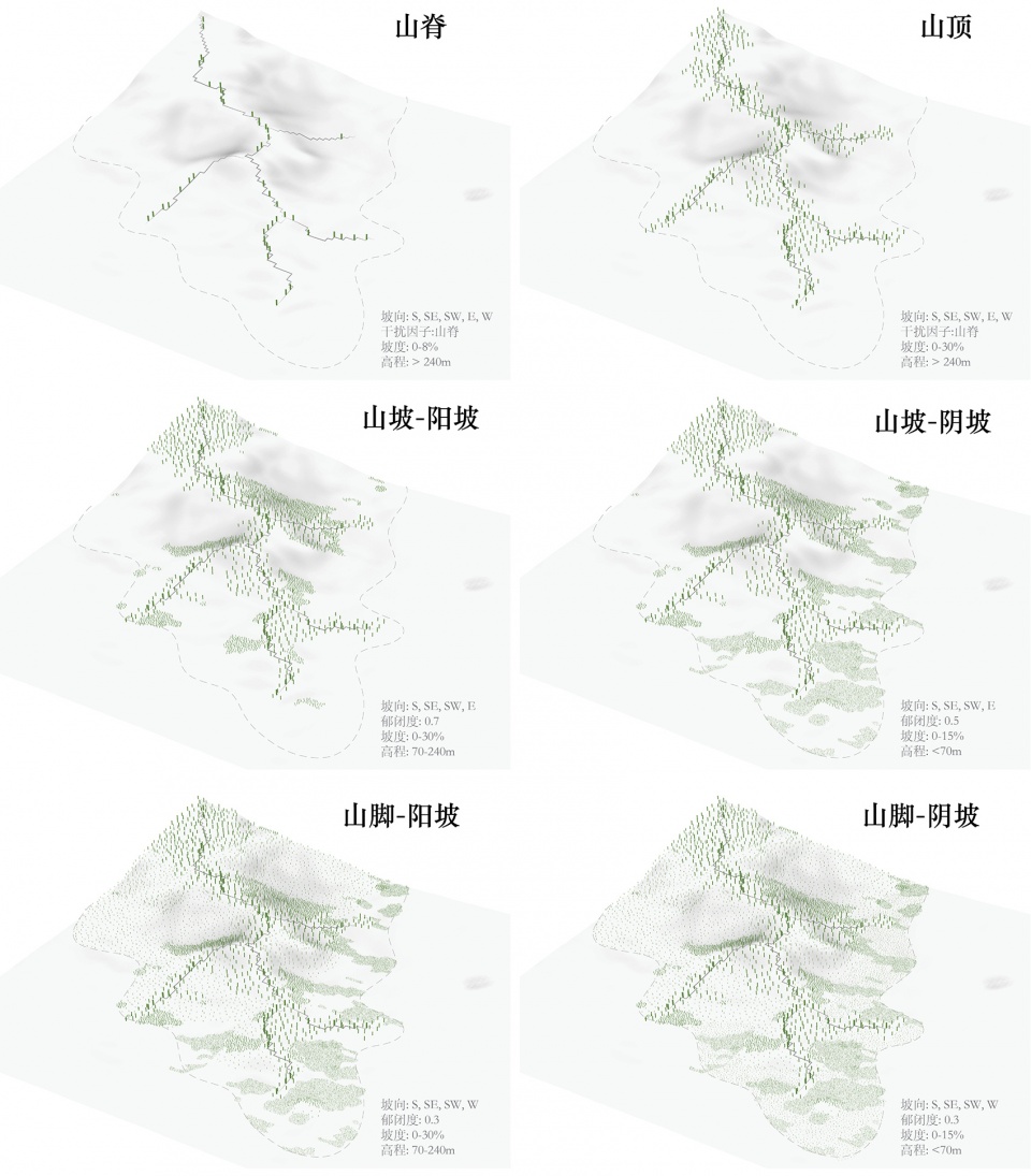 overseas chendi zhang