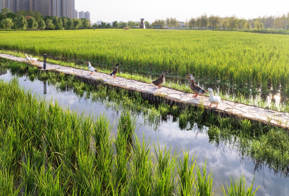 daoxiangyuan changan park china by shanghai chidi studio12