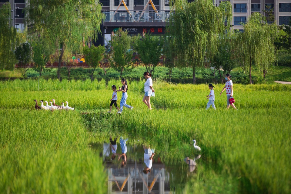 daoxiangyuan changan park china by shanghai chidi studio13