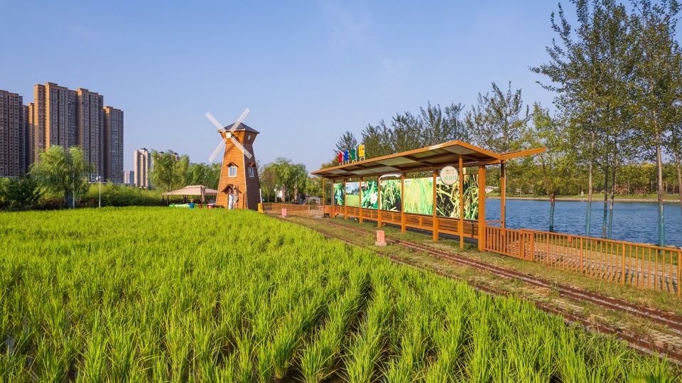 daoxiangyuan changan park china by shanghai chidi studio19