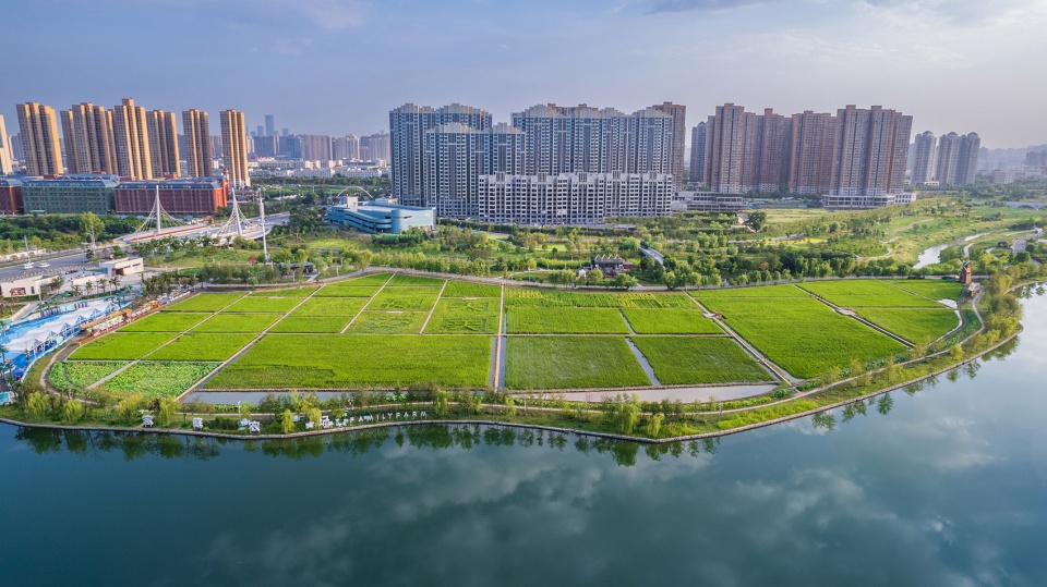 daoxiangyuan changan park china by shanghai chidi studio2