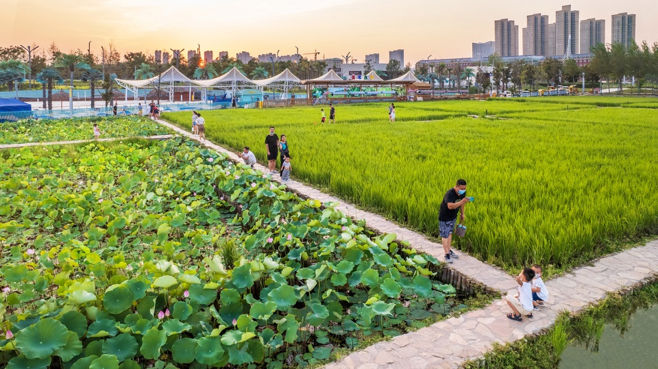 daoxiangyuan changan park china by shanghai chidi studio3