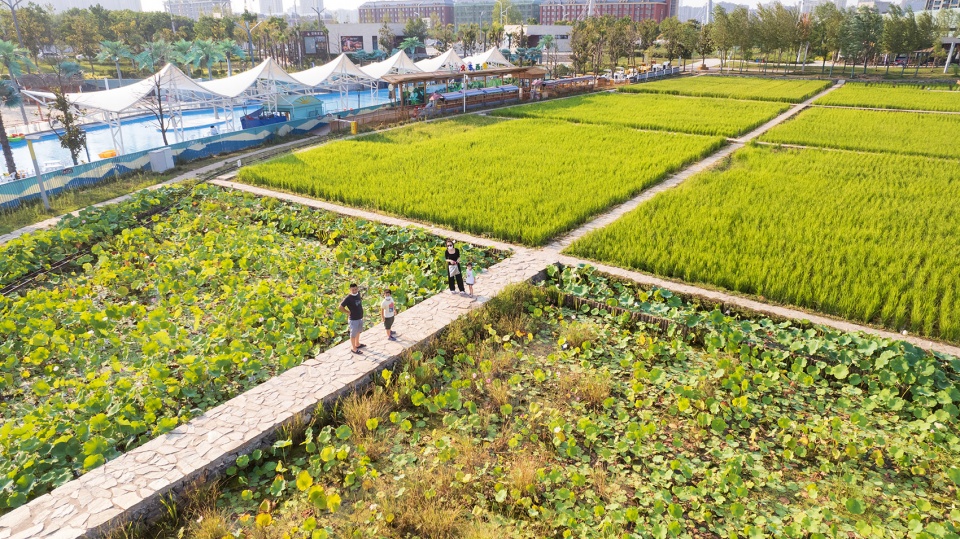 daoxiangyuan changan park china by shanghai chidi studio4