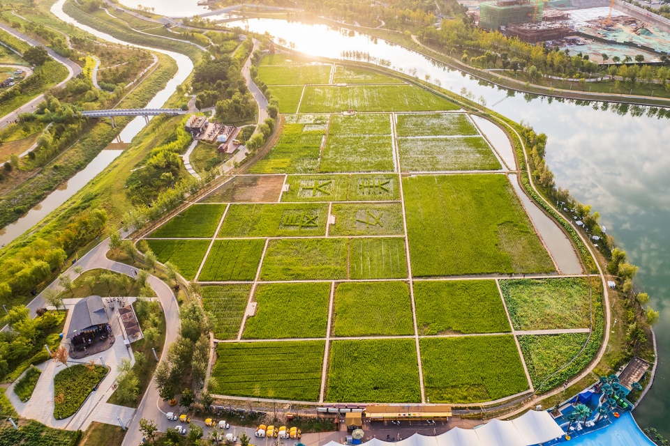 daoxiangyuan changan park china by shanghai chidi studio6