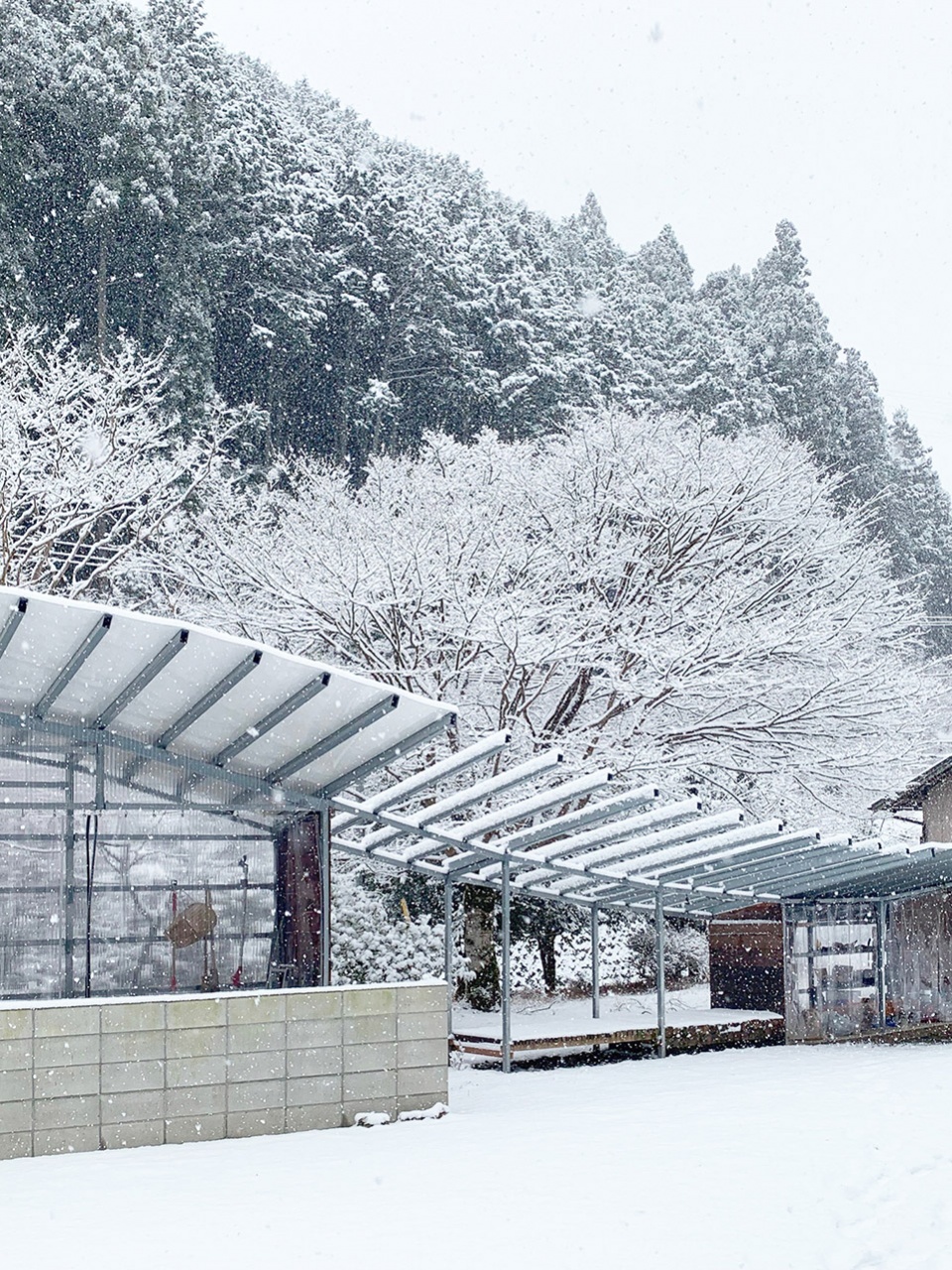 pergola takayuki kuzushima and associates