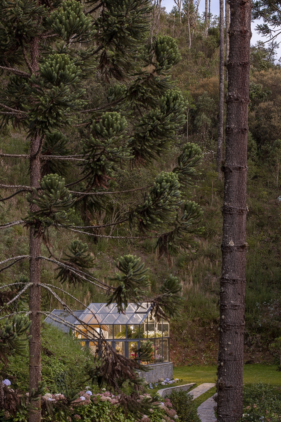 araucaria greenhouse by anga arquitetura