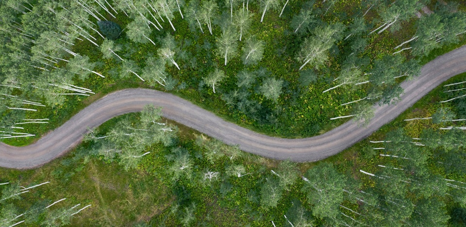 2021 asla residential design award of honor highlands retreat by design workshop