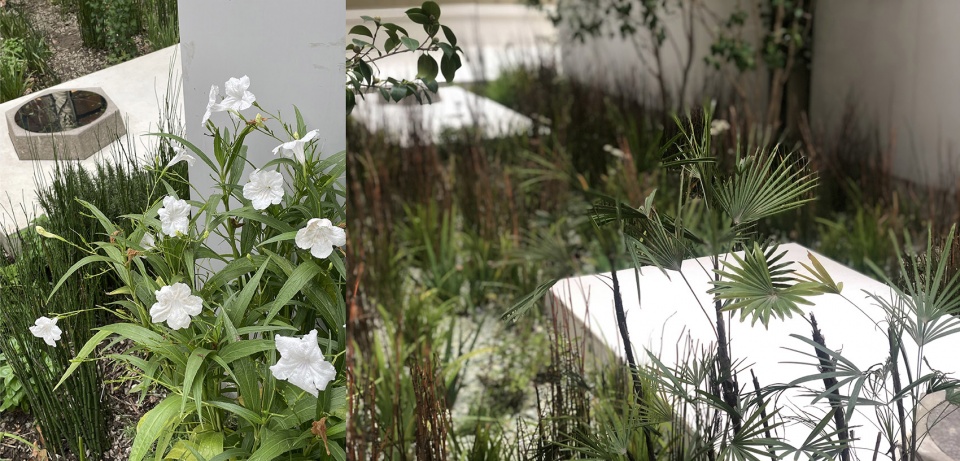 to summer infinity garden shanghai by yiyu design