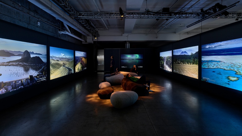 a species between worlds by mesh architectures
