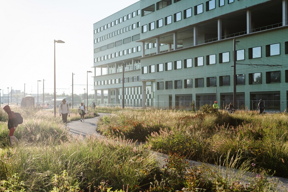 Kempenstraat Park OMGEVING