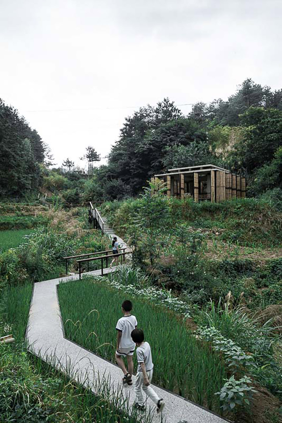 The Academy Of Sun Township By Fu Yingbin the-academy-of-sun-township-by-fu-yingbin
