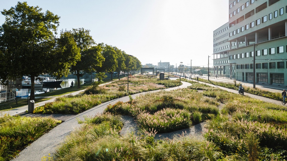 Kempenstraat Park OMGEVING