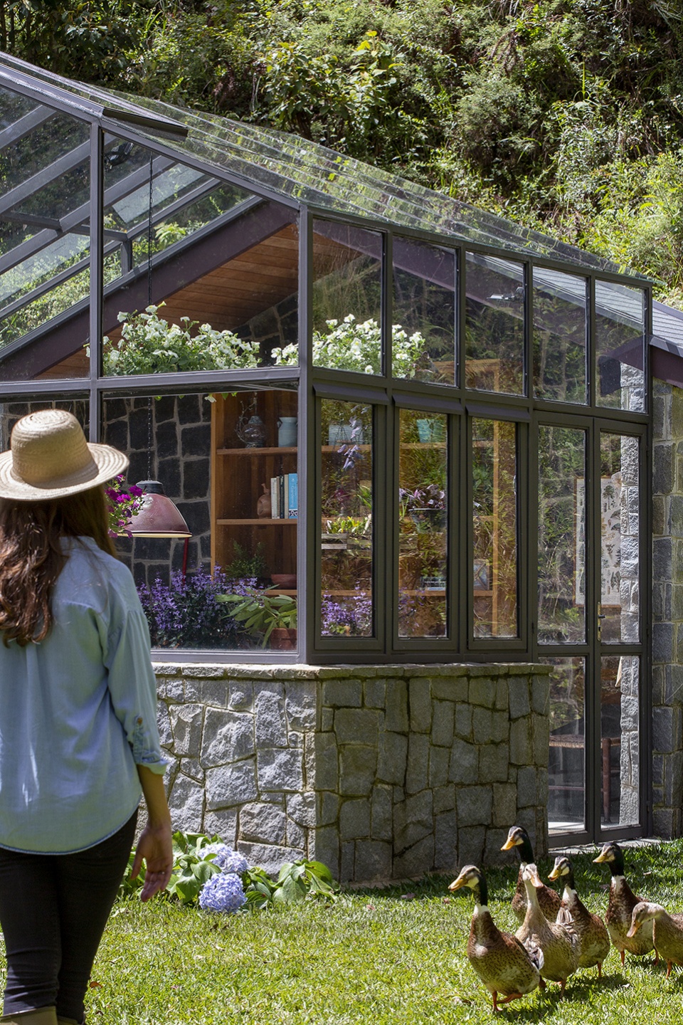 araucaria greenhouse by anga arquitetura