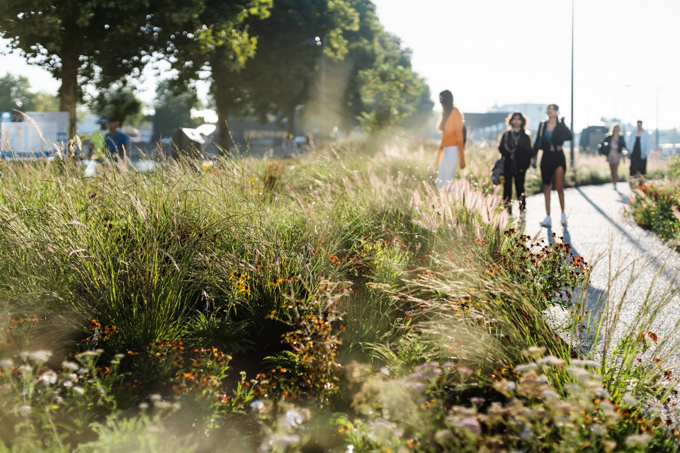 Kempenstraat Park OMGEVING