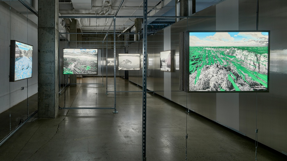 a species between worlds by mesh architectures