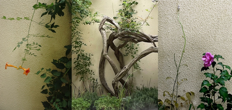 to summer infinity garden shanghai by yiyu design