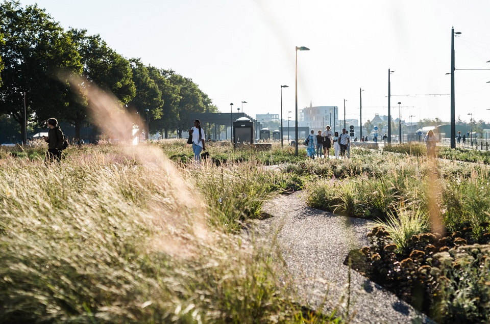 Kempenstraat Park OMGEVING