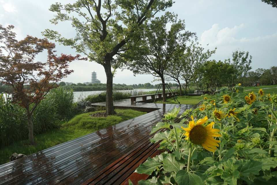 the east bank waterfront space transformation of canal sanwan scenic spot by ged design