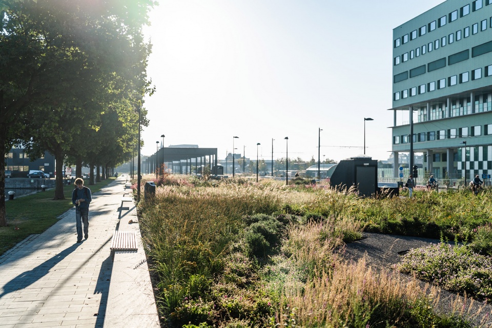 Kempenstraat Park OMGEVING