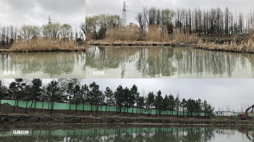 the east bank waterfront space transformation of canal sanwan scenic spot by ged design