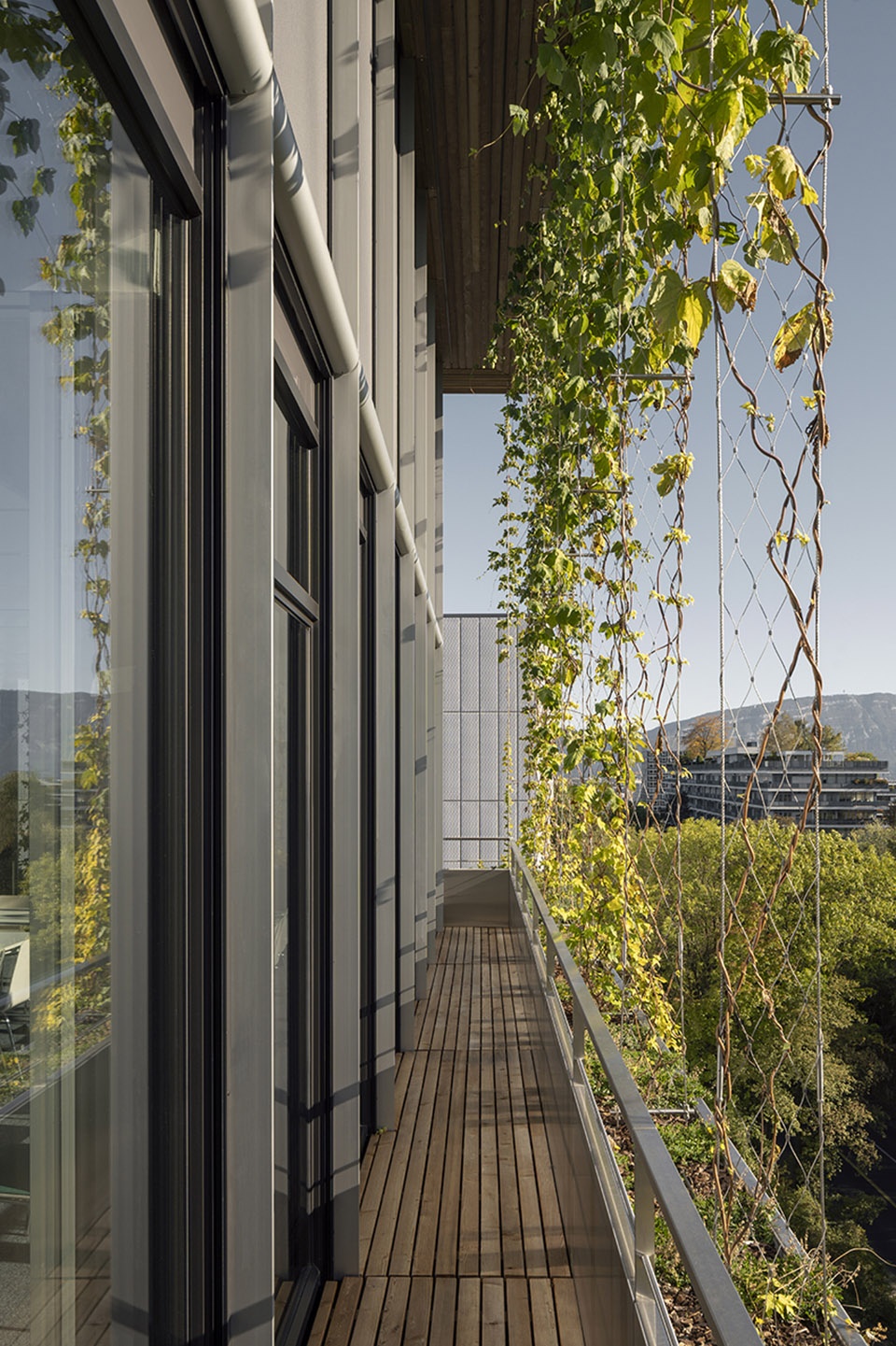 New Headquarters for Medecins Sans Frontieres Sauerbruch Hutton