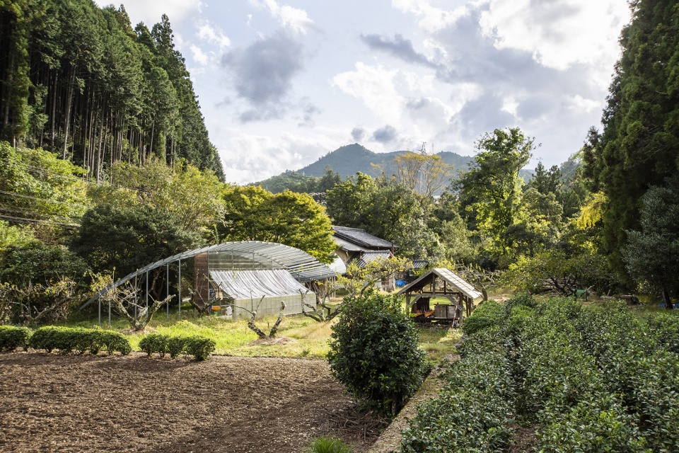 pergola takayuki kuzushima and associates