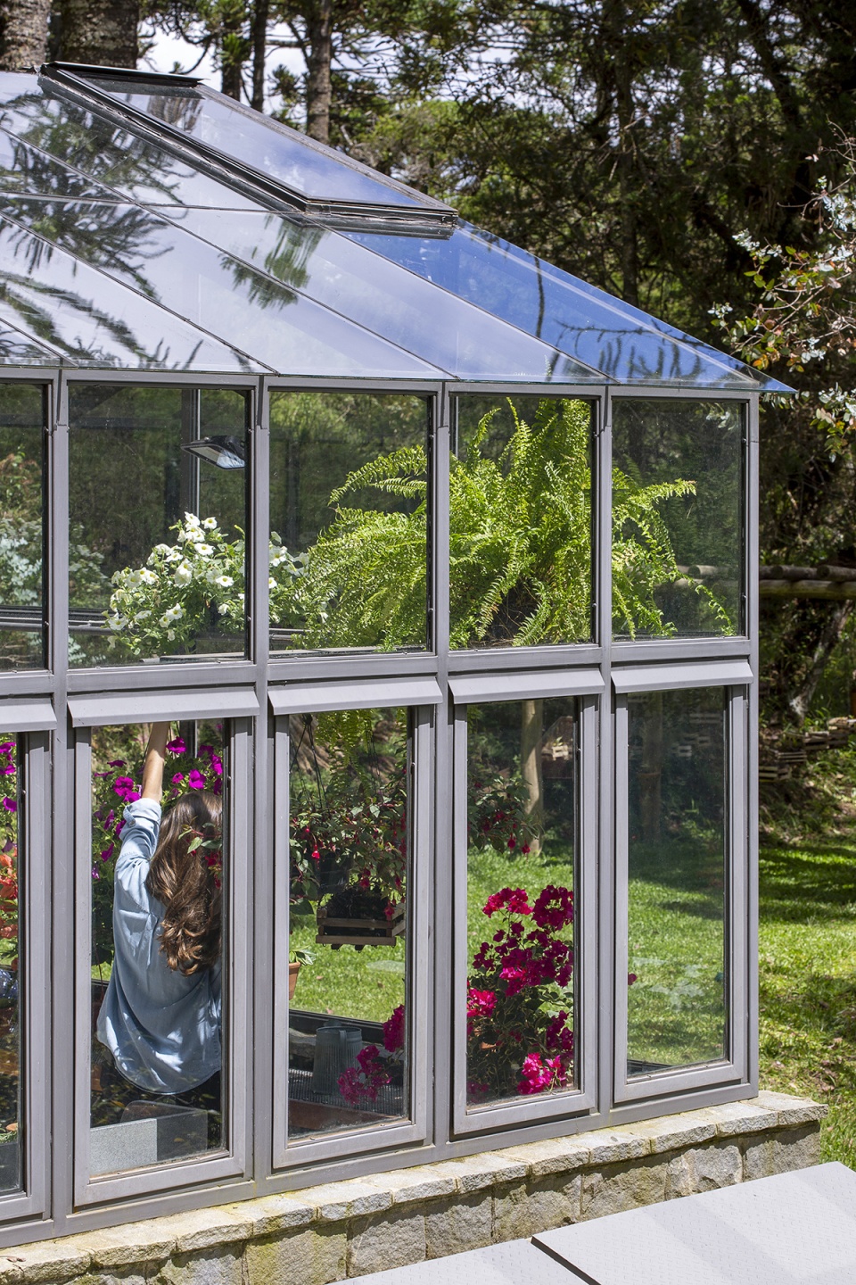 araucaria greenhouse by anga arquitetura