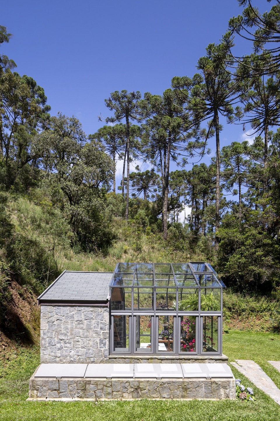 araucaria greenhouse by anga arquitetura