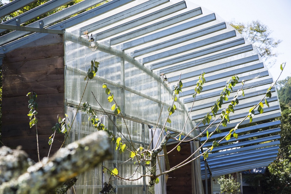 pergola takayuki kuzushima and associates