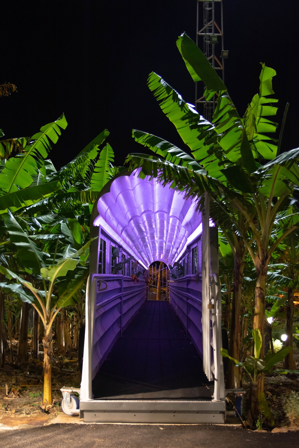 el tanque garden by fernando menis architects