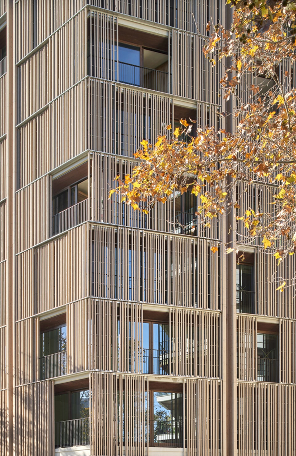 Paseo Mallorca 15 Apartments OHLAB