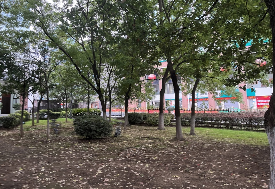 Yichang Yunji Park HID