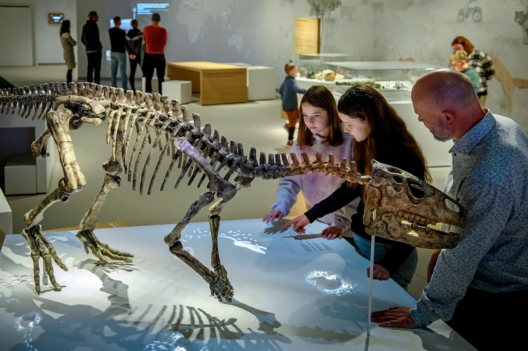 Dinosaur Extinction As Well As Human Origins Exhibition At Stevns Klint ...