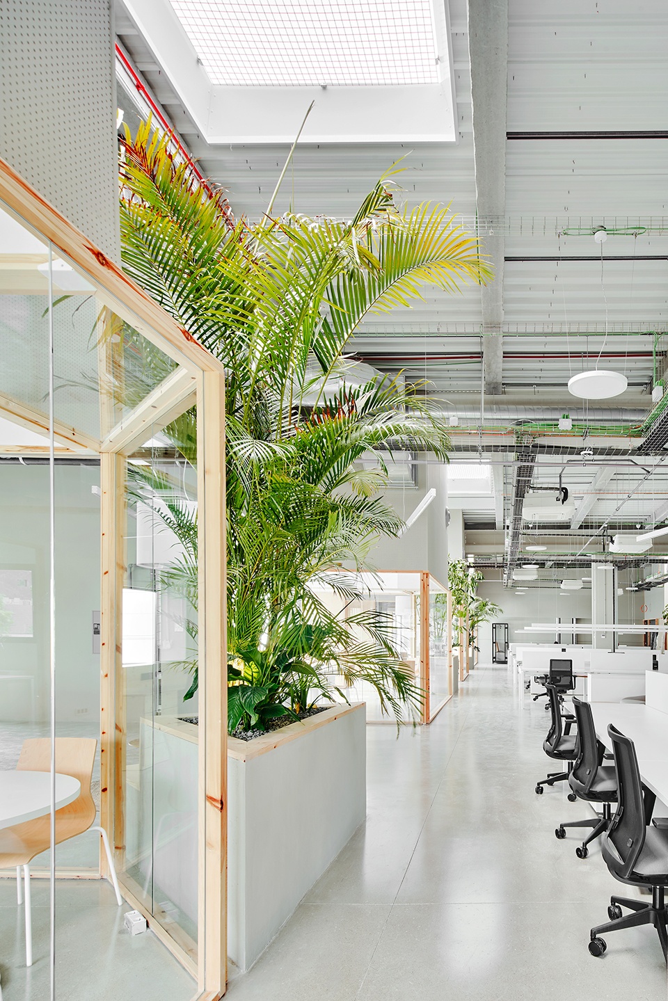 gpa offices by manu pages taller darquitectura