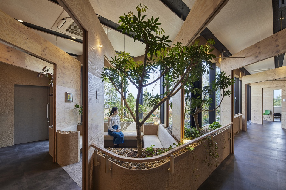 sasaki spine clinic by uid