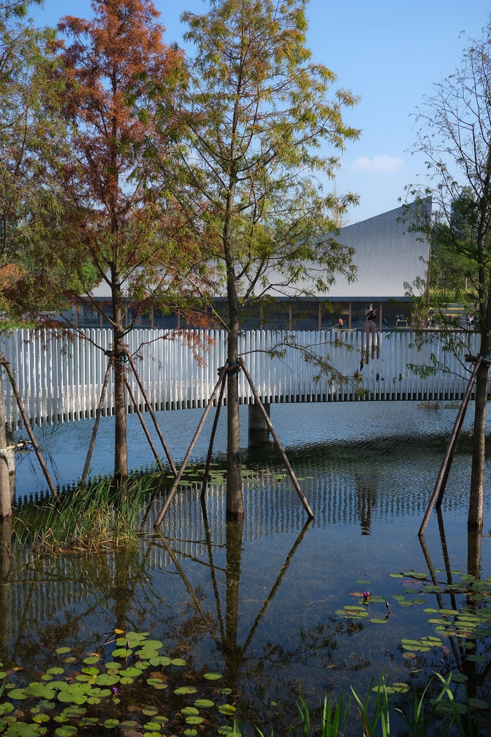 Xinglong Lake Lakeside Woods Library Yudao Landscape Design