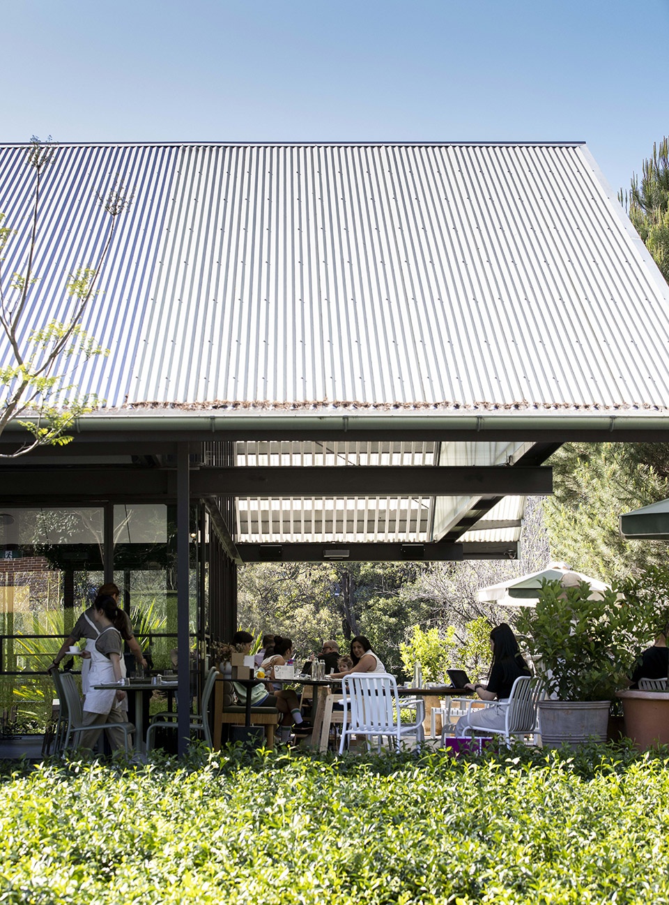 parramatta park pavilion sydney by sam crawford architects