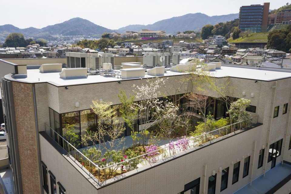 sasaki spine clinic by uid