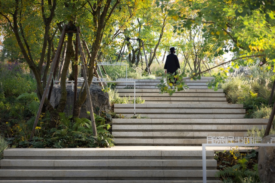 Xinglong Lake Lakeside Woods Library Yudao Landscape Design