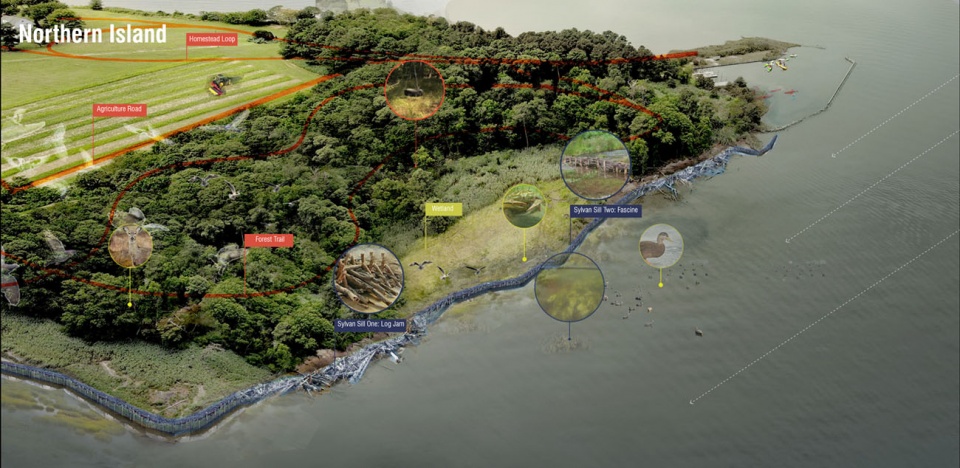 2021 asla analysis and planning award of honor parsons island conservation and regeneration plan mahan rykiel associates