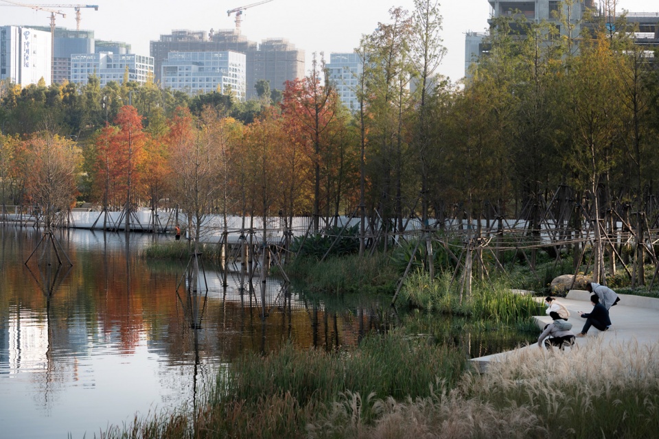 Xinglong Lake Lakeside Woods Library Yudao Landscape Design