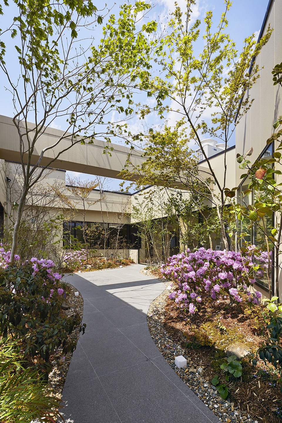 sasaki spine clinic by uid