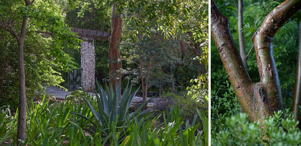 2021 asla general design award of honor the leon levy native plant preserve raymond jungles inc
